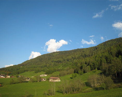 Lippi Costruzioni