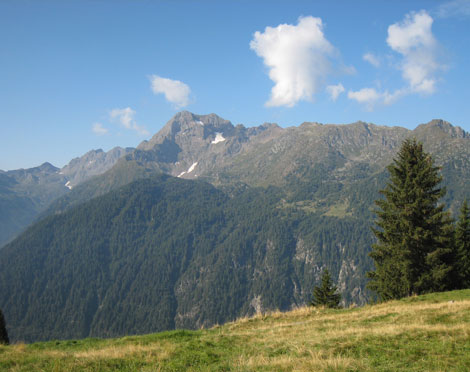 Lippi Costruzioni