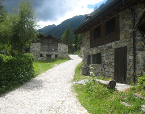 Lippi Costruzioni