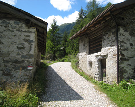 Lippi Costruzioni