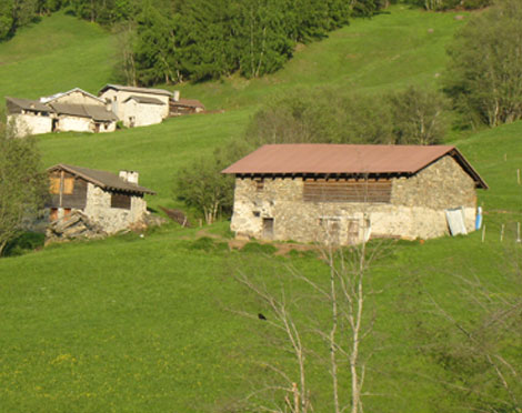 Lippi Costruzioni