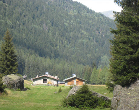 Lippi Costruzioni